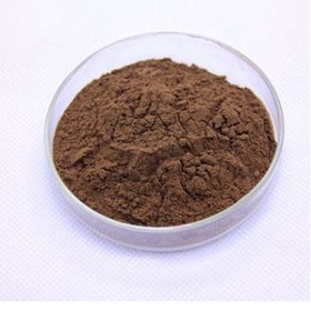 10:1 Reishi Mushroom Extract Powder