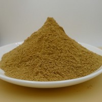 Chaga Fungus Extract Powder