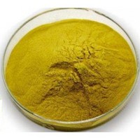 0.5% White Kidney Bean Extract Powder