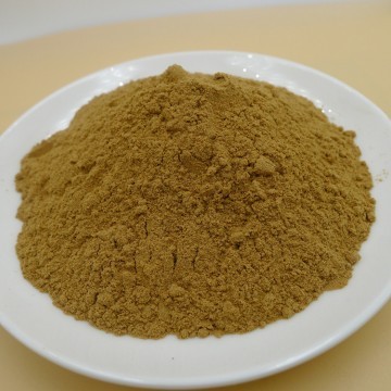 Agaricus Blazei Extract Powder 10:1