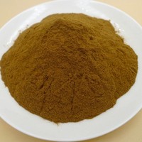 Sambucus Nigra Extract Powder