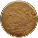 Trametes Versicolor Extract Powder