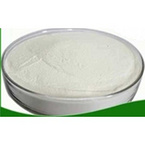 Saw Palmetto Extract Powder