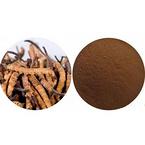 Cordyceps Sinensis Extract Powder7%