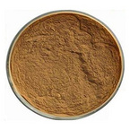 Burdock Root Extract Powder