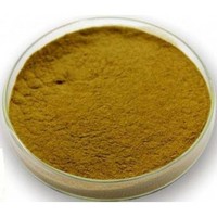 Papaya Leaf Extract Powder