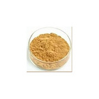 Chaste Berry Extract Powder