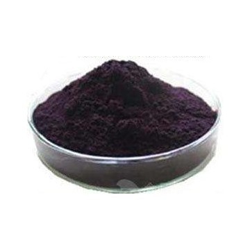 Black Currant Fruit Extract Powder