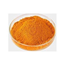 Halal Carrot Extract Powder10:1