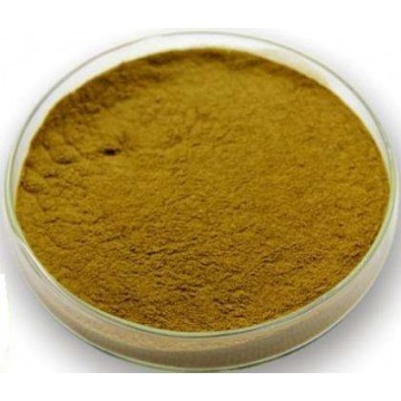 Celery Seed Extract Powder