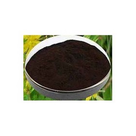 Hypericum Perforatum Extract Powder