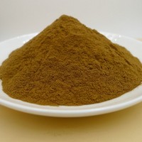 Asian Red Ginseng Extract Powder