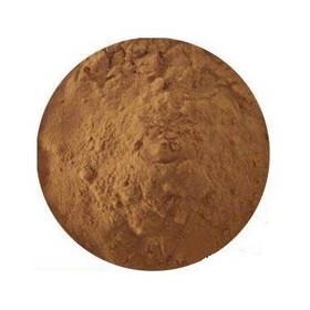 Nopal Cactus Extract Powder