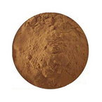 Halal Amomum Villosum Extract Powder 10:1