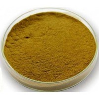 Guarana Extract Powder10:1