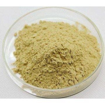 Korean Ginseng Extract Powder80%