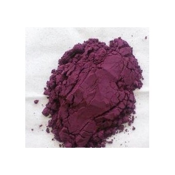 Acai Berry Extract Powder10:1