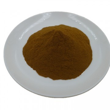 Rose Hips Extract Powder