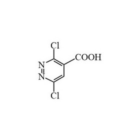 3,6-dichloropyridazin-4-carboxylic acid