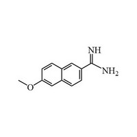 6-methoxy-2-naphthalenecarboximidamide