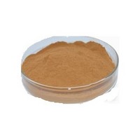 Siberian Ginseng Extract Powder 0.8%