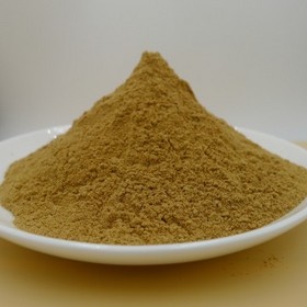 Garlic Extract Powder 1% hplc