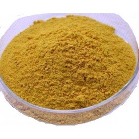 Dong Quai Extract Powder 1%