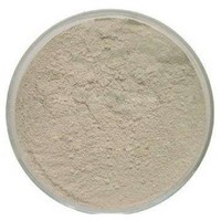 Laminaria  Kelp Extract Powder 1%