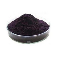 Black Currant Extract Powder 25%