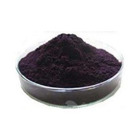 Halal Black Currant Extract Powder 10:1