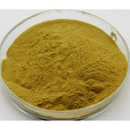 Black Cohosh Extract Powder 2.5%