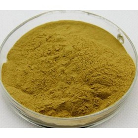 Black Cohosh Extract Powder HPLC 2.5%