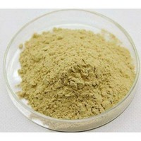 Red Ginseng Root Extract Powder 10% UV
