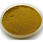 Halal Artichoke (Cynara scolymus) Leaf Extract Powder 10:1