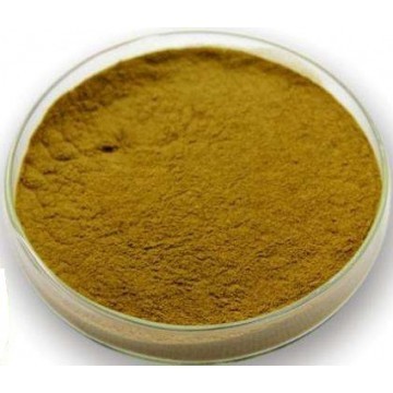 Artichoke Extract Powder 12:1 0.6% Chlorogenic Acid by hplc