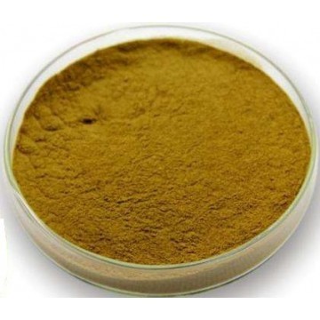 Halal Astragali Radix Extract Powder  10:1