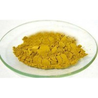Fenugreek Extract Powder 30%
