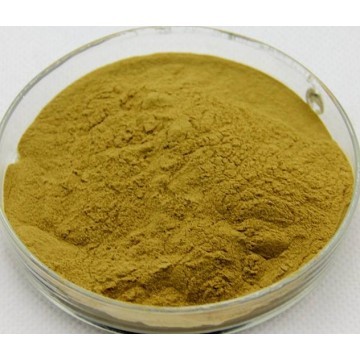 Fenugreek Extract Powder 30% UV