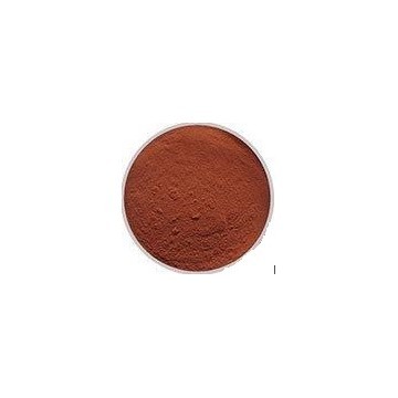 Vitis Vinifera Extract Powder 120:1&95%