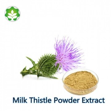 milk thistle seeds powder extract p.e