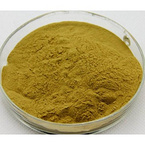 Halal Buckwheat Extract Powder10:1