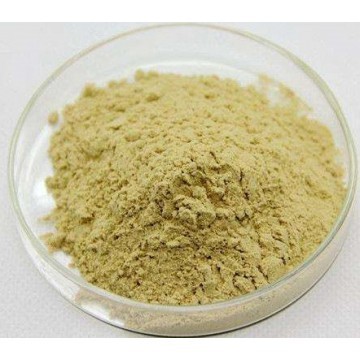 Panax Ginseng Extract Powder 10%