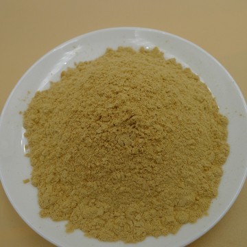 Panax Ginseng Extract Powder 1%