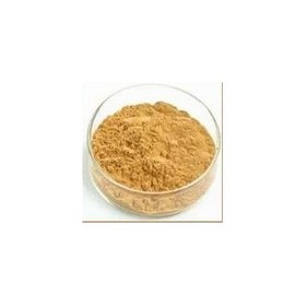 Wild Yam Extract Powder 12.5%