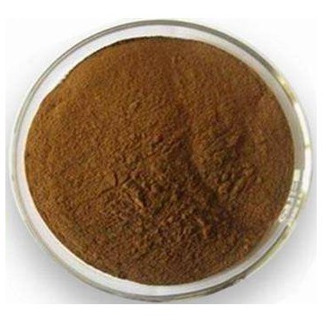 Butchers Broom Extract Powder 10%