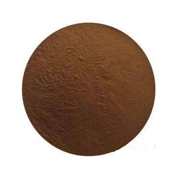 Coleus Forskohlii Extract Powder 20%