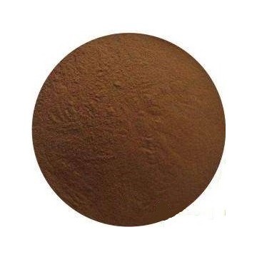 Vitex Agnus-Castus Berry Extract Powder 0.6%