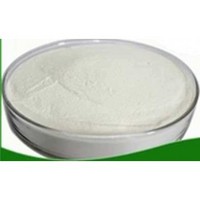 Stevia Extract Powder 80% HPLC