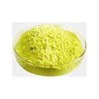 Broccoli Extract Powder 1%HPLC