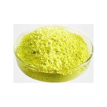 Broccoli Extract Powder 1%HPLC